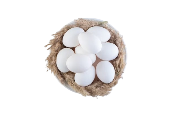 egg